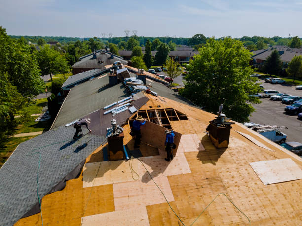 Trusted Flat Roof Repair service in Louisville, NE - Brentwood Metal Roofing